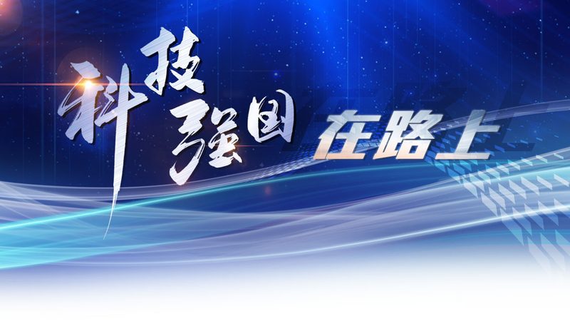 数据治理与数据仓库：构建企业数字化转型的基石