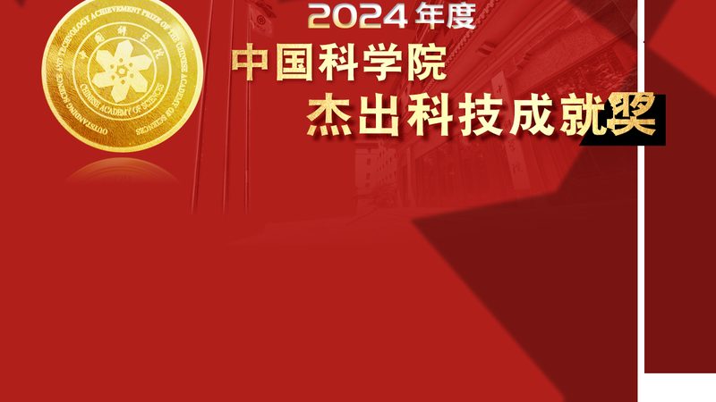 企业数字化管理平台：如何选择合适的解决方案**