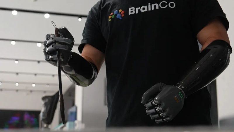 知识图谱：构建企业智能决策的桥梁